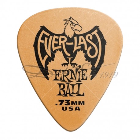 PUA ERNIE BALL EVERLAST (.73)